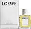 Loewe Roasted Vanilla