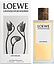 Loewe San Miguel