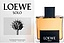Loewe Solo