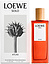 Loewe Solo Atlas