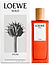 Loewe Solo Atlas
