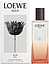 Loewe Solo Ella Elixir