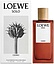 Loewe Solo Loewe Cedro