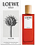 Loewe Solo Vulcan