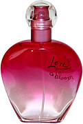 Love Passport Love Passport A Bloom
