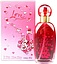 Love Passport Rosy Sky Happiness