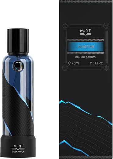 M.INT Quantum