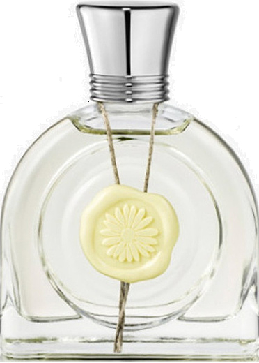 M. Micallef Fleur Lumiere