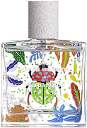 Maison Matine Nature Insolente
