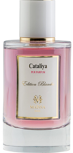 Maissa Cataliya