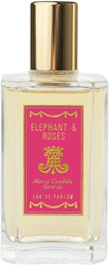 Maria Candida Gentile Elephant & Roses