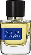 Mark Buxton Why Not A Fougere
