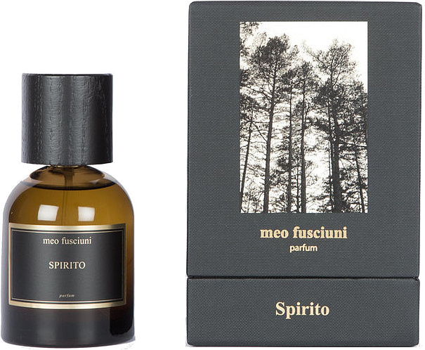 Meo Fusciuni Spirito