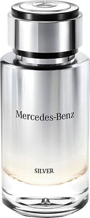 Mercedes-benz Silver