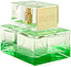 Michael Kors Island Palm Beach