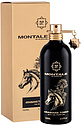 Montale Arabians Tonka