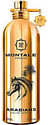 Montale Arabians