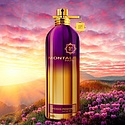 Montale Orchid Powder