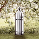 Montale Jasmin Full