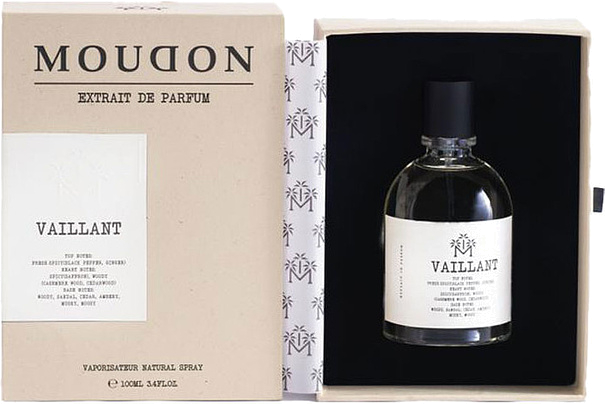 Moudon Vaillant