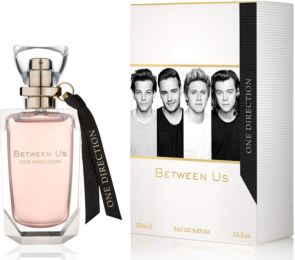 One Direction Between Us
