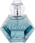 Pamela Anderson Malibu Day