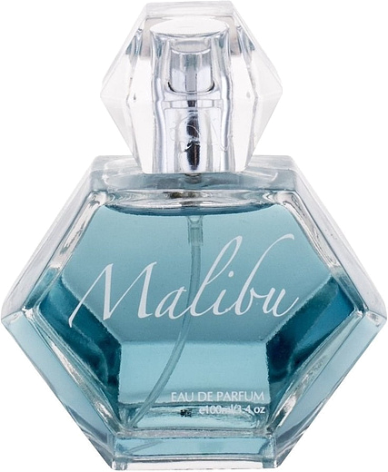 Pamela Anderson Malibu Day
