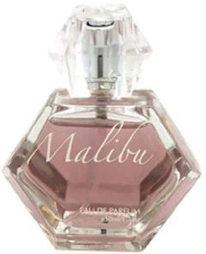 Pamela Anderson Malibu Night