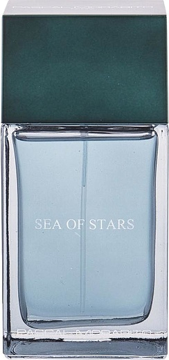 Pascal Morabito Sea Of Stars