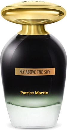 Patrice Martin Fly Above The Sky