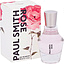 Paul Smith Rose