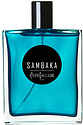 Pierre Guillaume Sambaka