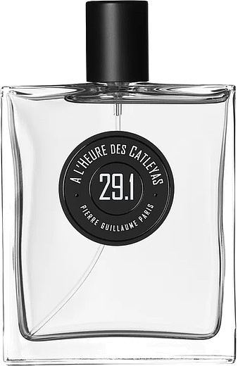 Pierre Guillaume A L’heure Des Catleyas 29.1