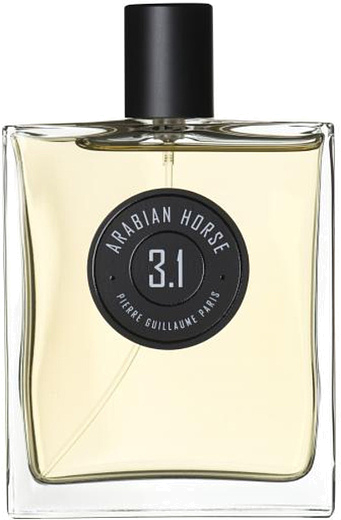 Pierre Guillaume Arabian Horse 3.1