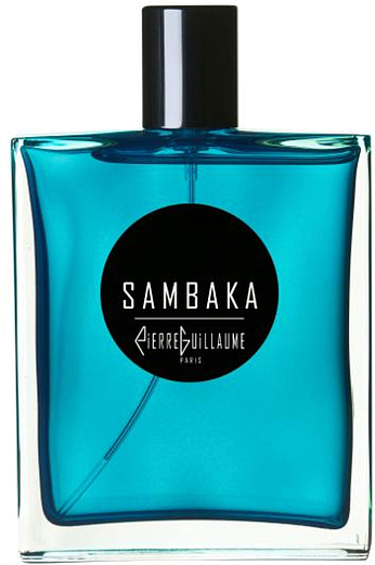 Pierre Guillaume Sambaka