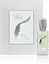 Plume Impression Eclat de Joie