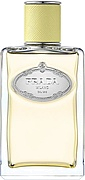 Prada Infusion De Gingembre