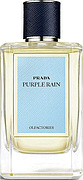 Prada Purple Rain