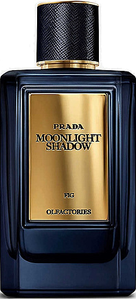 Prada Moonlight Shadow
