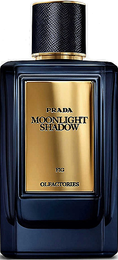 Prada Moonlight Shadow