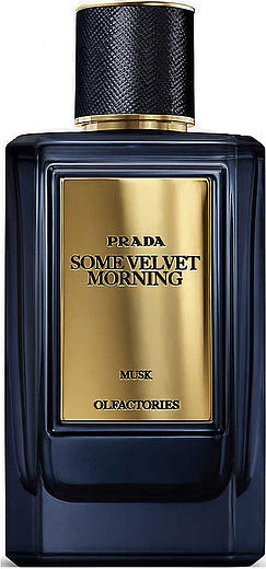 Prada Some Velvet Morning