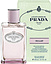 Prada Infusion d'Oeillet