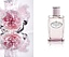 Prada Infusion d'Oeillet