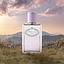 Prada Infusion De Figue