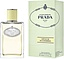Prada Infusion De Gingembre