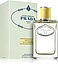 Prada Infusion De Gingembre
