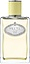 Prada Infusion De Gingembre