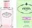 Prada Infusion de Rose