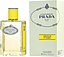 Prada Infusion D'ylang