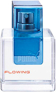 Puma Flowing Man